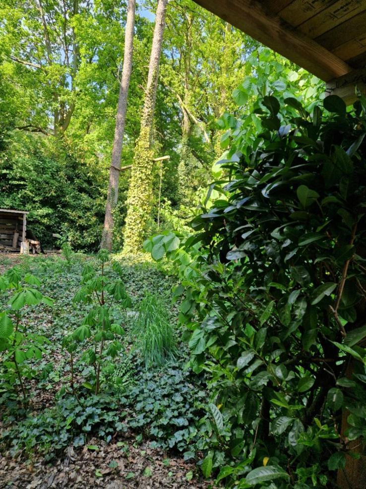 Benb Op De Vleet Vrijstaande Accommodatie Plantage Centrum Екстериор снимка